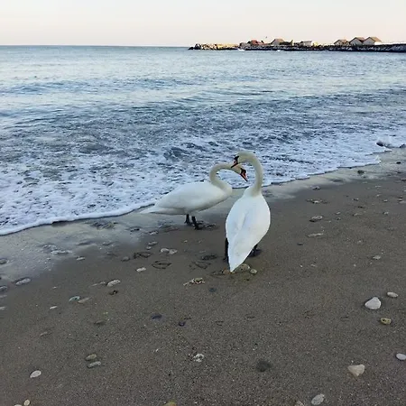 Marius 게스트하우스 4*